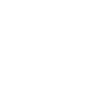 phenom logo